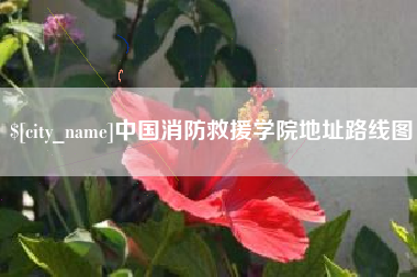 那曲中国消防救援学院地址路线图