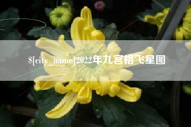 那曲2022年九宫格飞星图