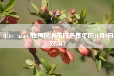 那曲我国的消防日是每年的11月9日对吗？