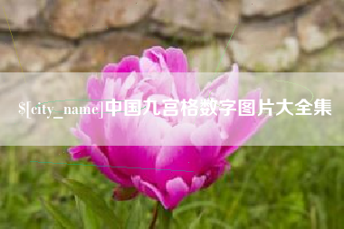 那曲中国九宫格数字图片大全集