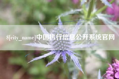 那曲中国执行信息公开系统官网