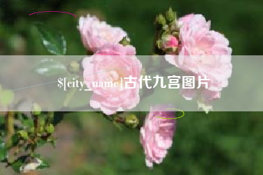 那曲古代九宫图片
