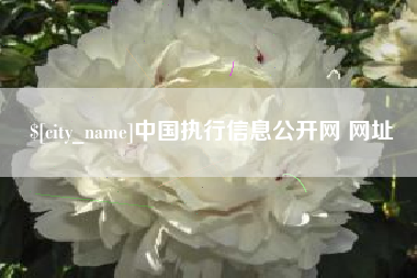 那曲中国执行信息公开网 网址