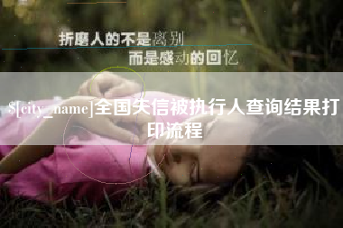 那曲全国失信被执行人查询结果打印流程