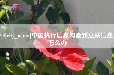 那曲中国执行信息网查到立案信息怎么办