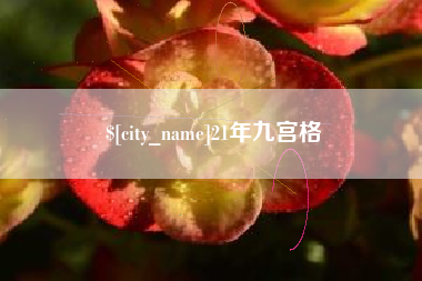 那曲21年九宫格