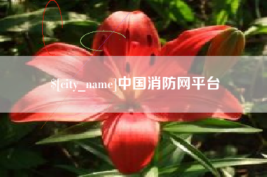 那曲中国消防网平台