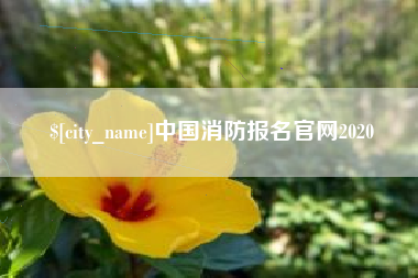 那曲中国消防报名官网2020