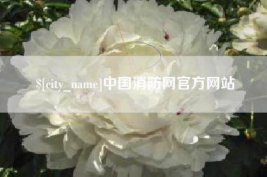 那曲中国消防网官方网站