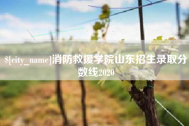 那曲消防救援学院山东招生录取分数线2020