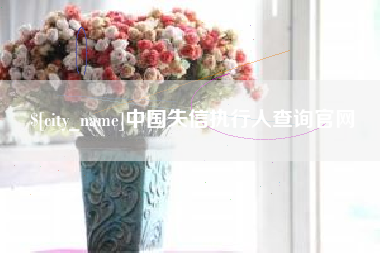 那曲中国失信执行人查询官网