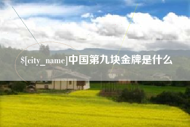 那曲中国第九块金牌是什么