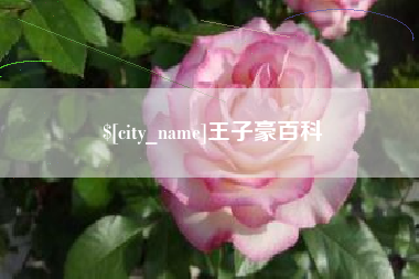 那曲王子豪百科