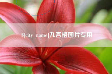 那曲九宫格图片专用