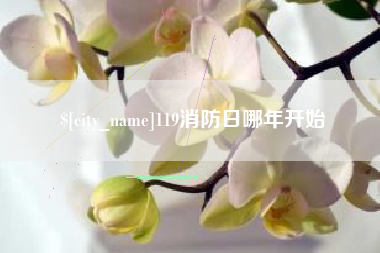 那曲119消防日哪年开始