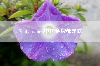 那曲中国金牌都是啥