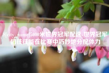 那曲5000米世界冠军配速-世界冠军们往往能在比赛中巧妙地分配体力