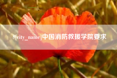 那曲中国消防救援学院要求
