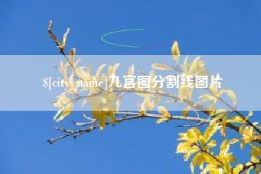 那曲九宫图分割线图片