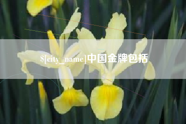 那曲中国金牌包括