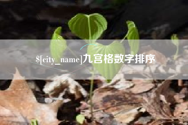 那曲九宫格数字排序