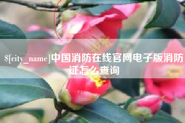 那曲中国消防在线官网电子版消防证怎么查询