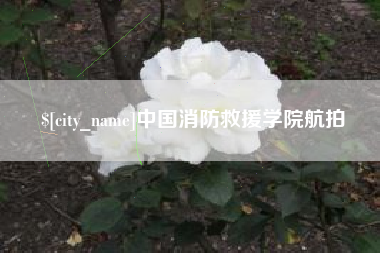 那曲中国消防救援学院航拍