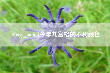 那曲今年九宫格的不利颜色