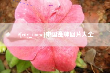 那曲中国金牌图片大全