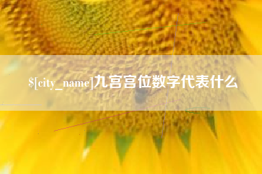 那曲九宫宫位数字代表什么
