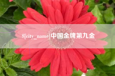 那曲中国金牌第九金