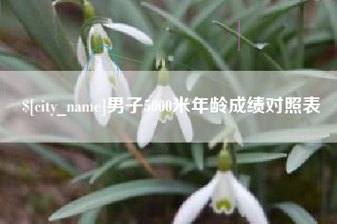 那曲男子5000米年龄成绩对照表