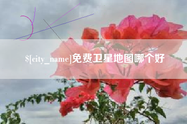 那曲免费卫星地图哪个好