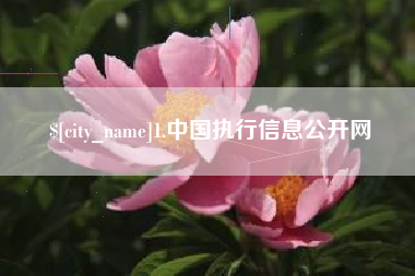 那曲1.中国执行信息公开网