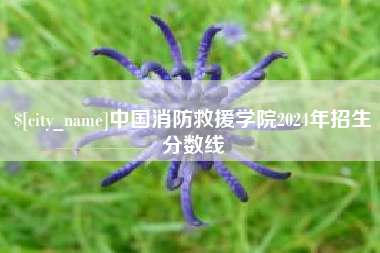 那曲中国消防救援学院2024年招生分数线