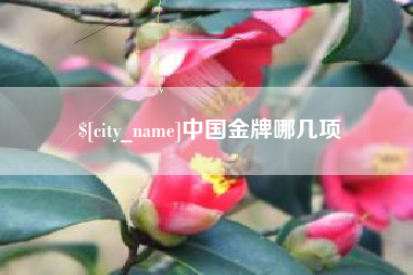 那曲中国金牌哪几项