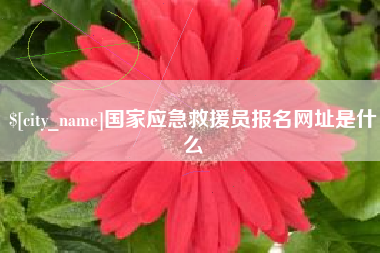 那曲国家应急救援员报名网址是什么