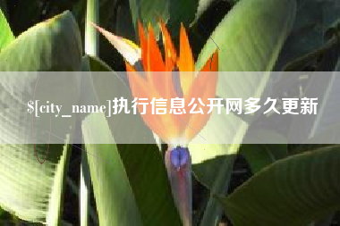 那曲执行信息公开网多久更新