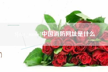 那曲中国消防网址是什么