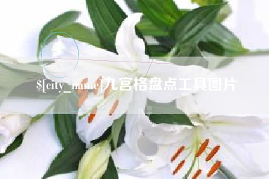 那曲九宫格盘点工具图片