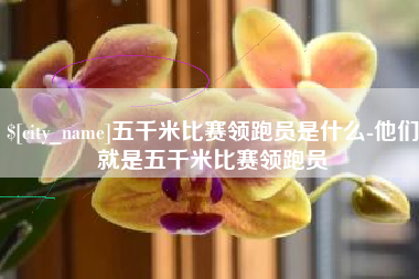 那曲五千米比赛领跑员是什么-他们就是五千米比赛领跑员