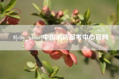 那曲中国消防报考中心官网