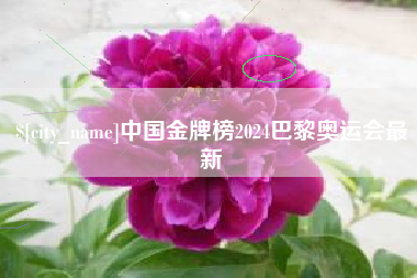 那曲中国金牌榜2024巴黎奥运会最新