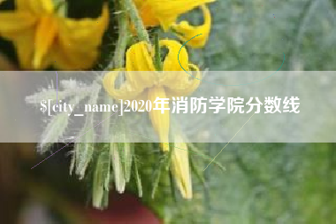 那曲2020年消防学院分数线