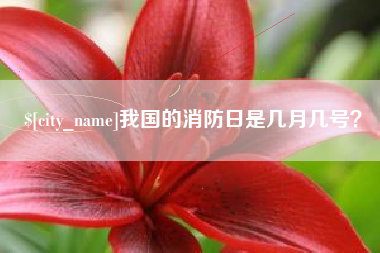 那曲我国的消防日是几月几号？