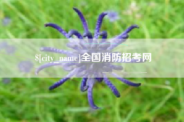 那曲全国消防招考网