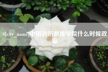 那曲中国消防救援学院什么时候政审