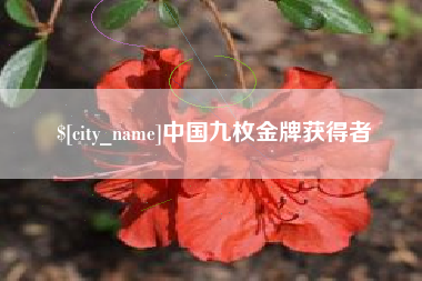 那曲中国九枚金牌获得者