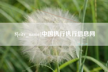 那曲中国执行执行信息网