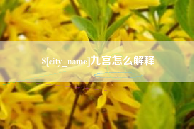 那曲九宫怎么解释